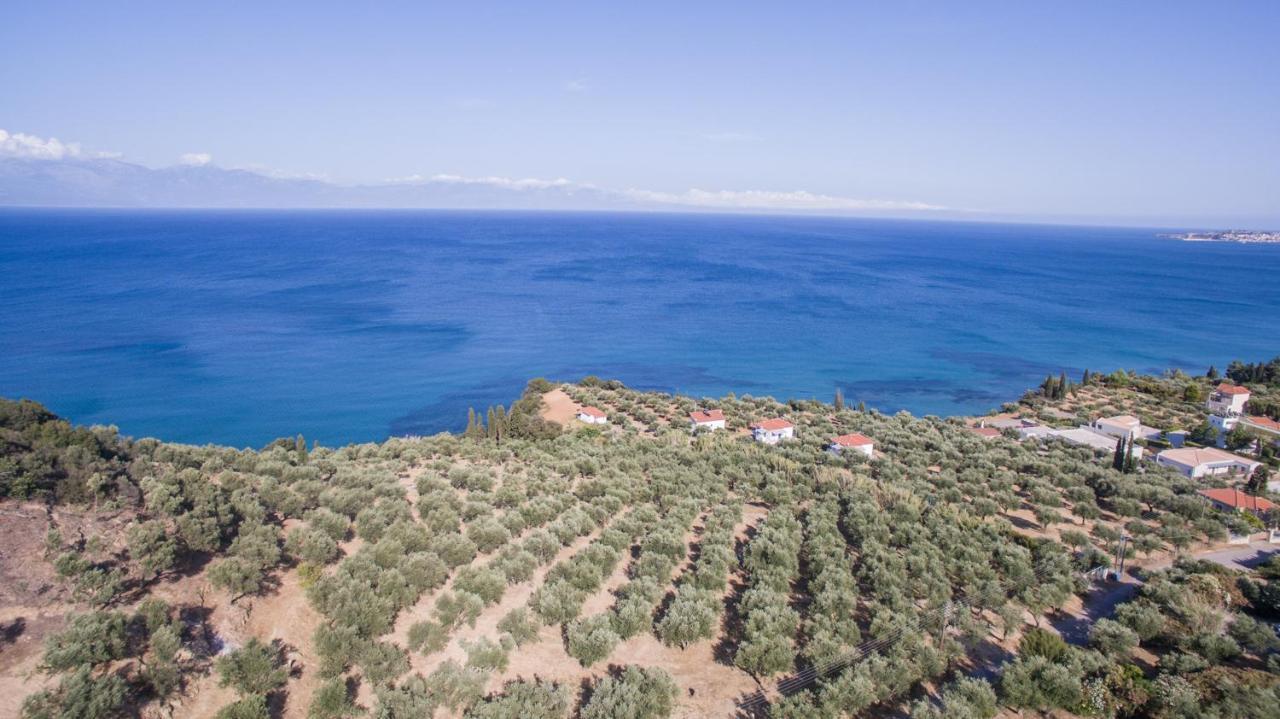 Villa Κτήμα Παπαβασιλόπουλος 2 - Koróni Exterior foto